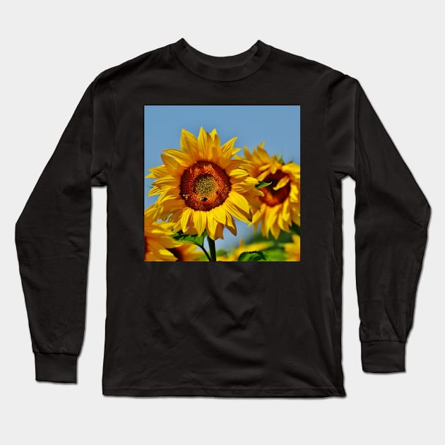 Sunflower with bees. Long Sleeve T-Shirt by Rosettemusicandguitar